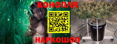 ПСИЛОЦИБИНОВЫЕ ГРИБЫ Канаш