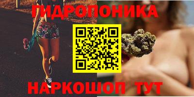 ПСИЛОЦИБИНОВЫЕ ГРИБЫ Канаш