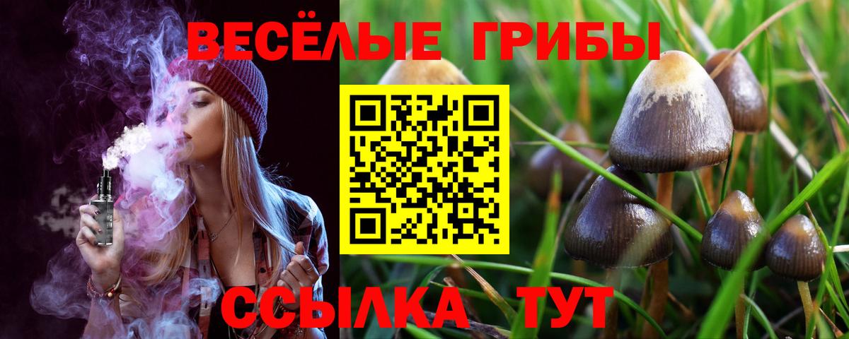 Псилоцибиновые грибы Magic Shrooms Коряжма